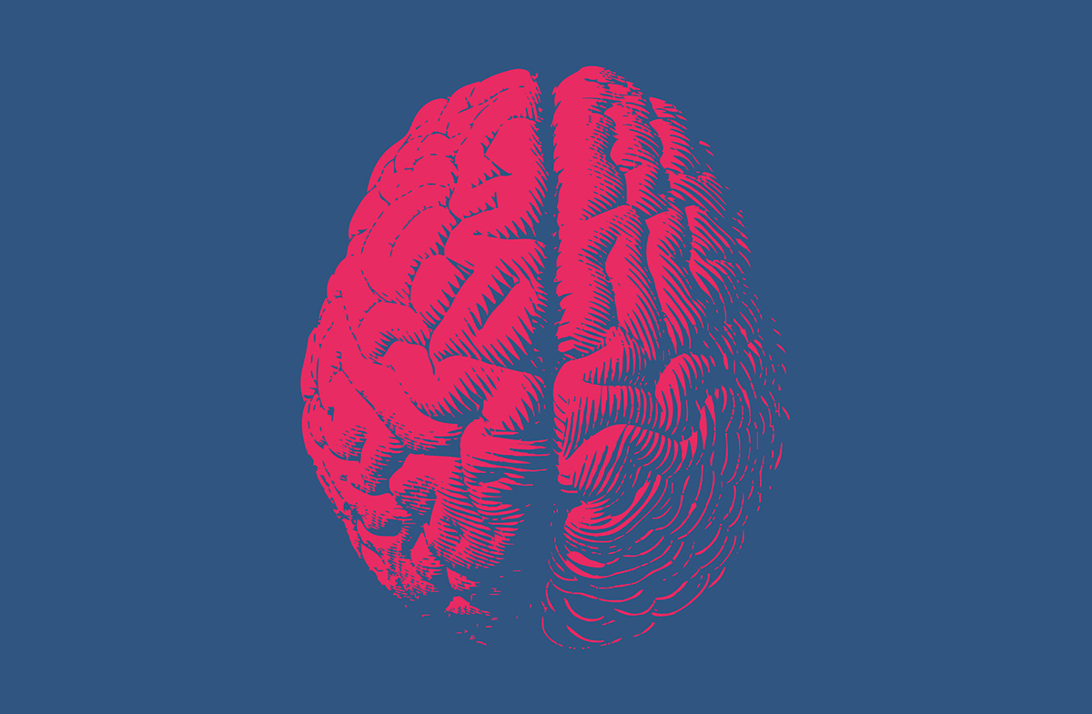 A pink, stylized illustration of a human brain viewed from above, set against a solid blue background.